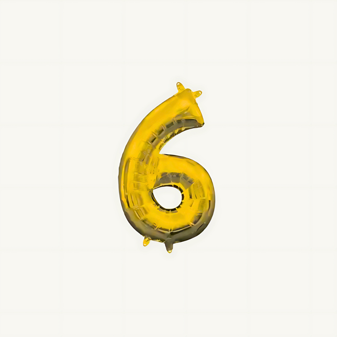 Number (6)